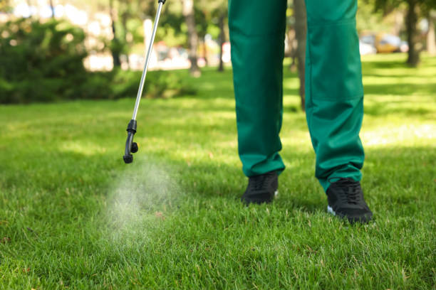 Best Commercial Pest Control Services  in Buda, TX